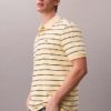 Tricou polo clasic din bumbac piqué cu dungi