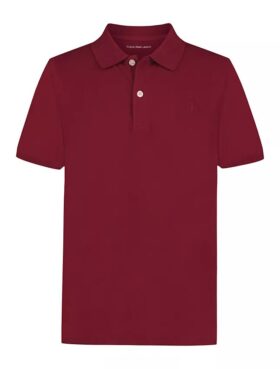 Tricou polo pentru băieți cu monogramă în tonuri asortate