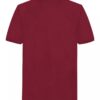 Tricou polo pentru băieți cu monogramă în tonuri asortate