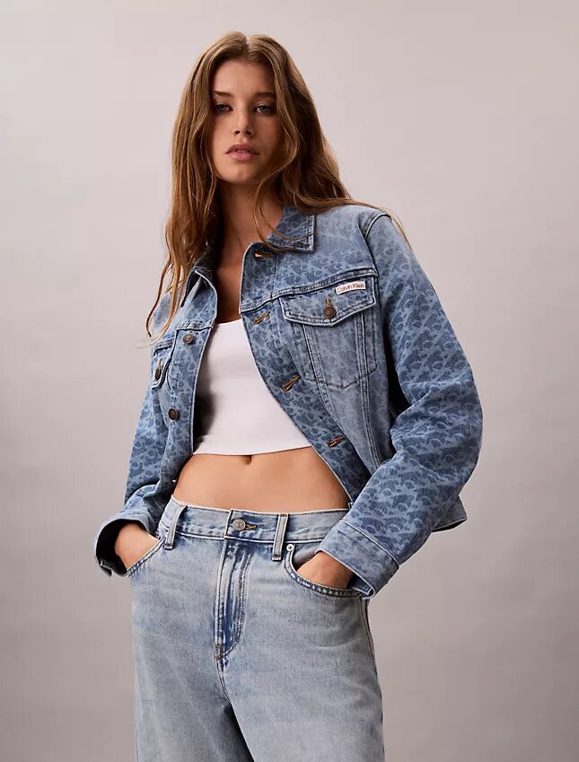 Trucker Jacket clasică de camionagiu Trucker Jacket clasică de camionagiu