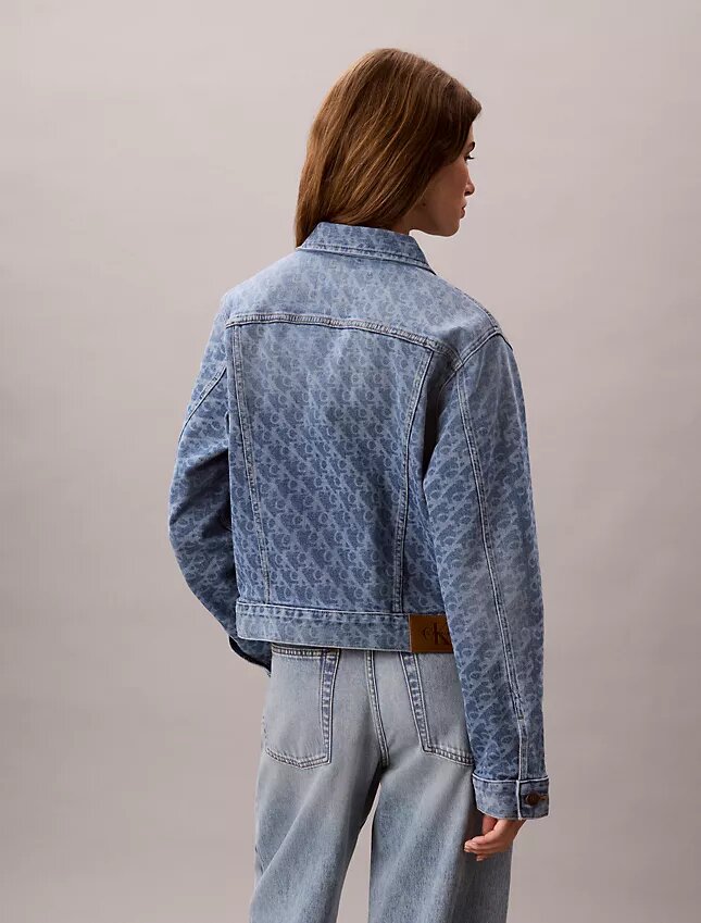 Trucker Jacket clasică de camionagiu Trucker Jacket clasică de camionagiu